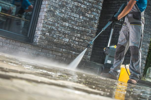 Best Roof Washing  in Bass Lake, IN