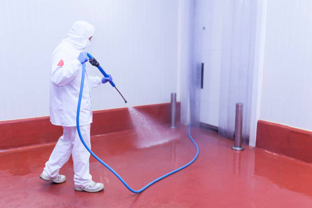 Best Warehouse Cleaning  in Bass Lake, IN