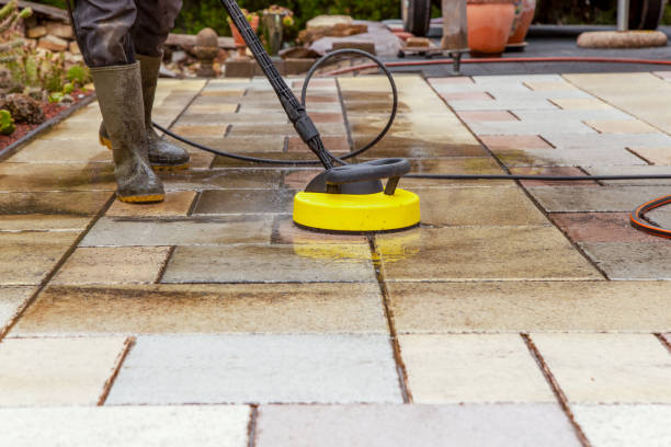 Best Pre-Holiday Cleaning  in Bass Lake, IN