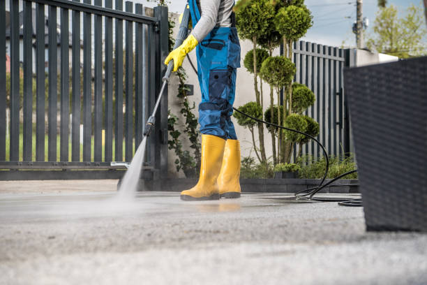 Best Patio and Deck Pressure Washing  in Bass Lake, IN