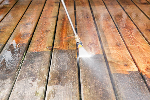 Best House Exterior Washing  in Bass Lake, IN